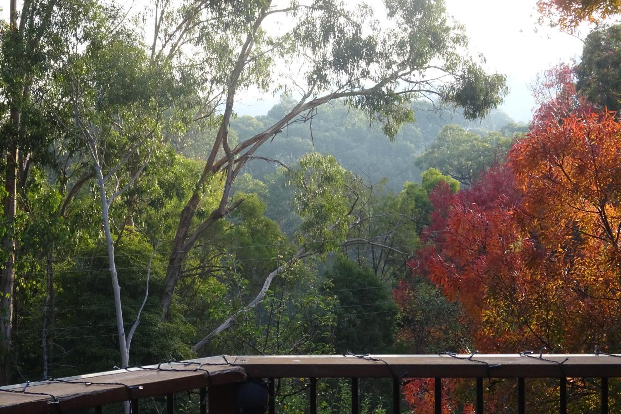 Yarra Ranges Country Apartment Mount Evelyn Luaran gambar