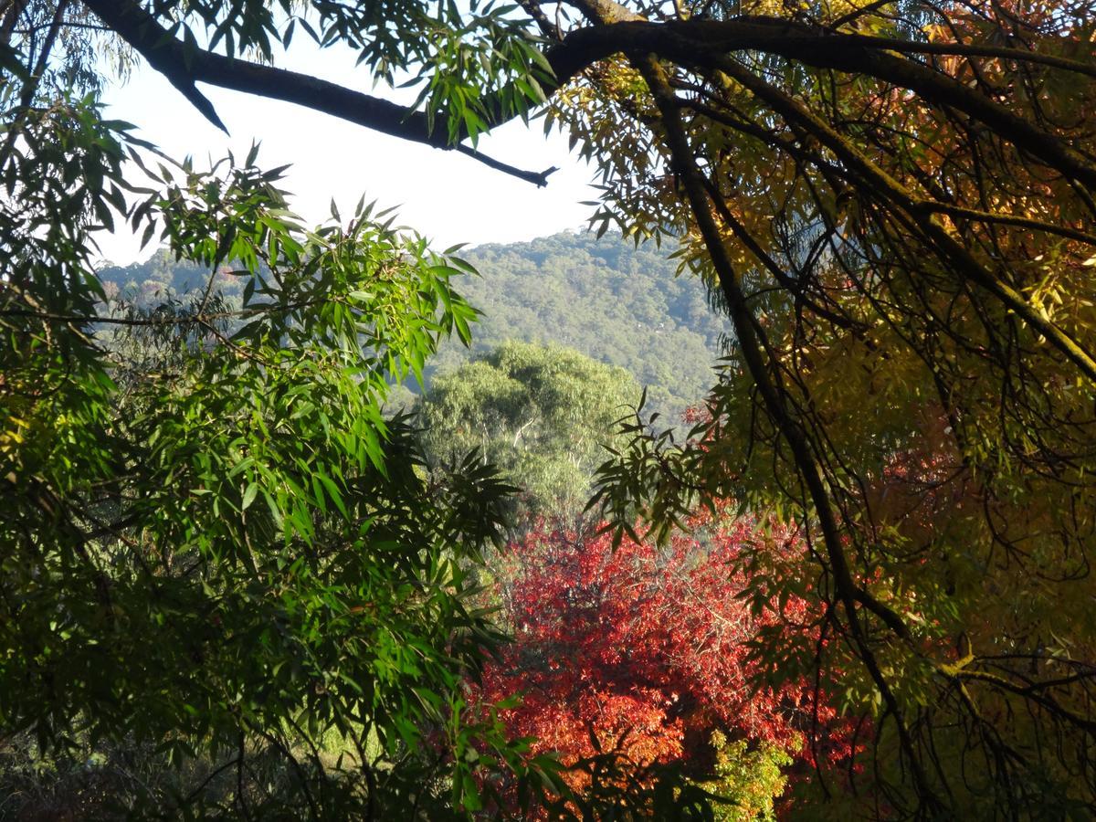 Yarra Ranges Country Apartment Mount Evelyn Luaran gambar