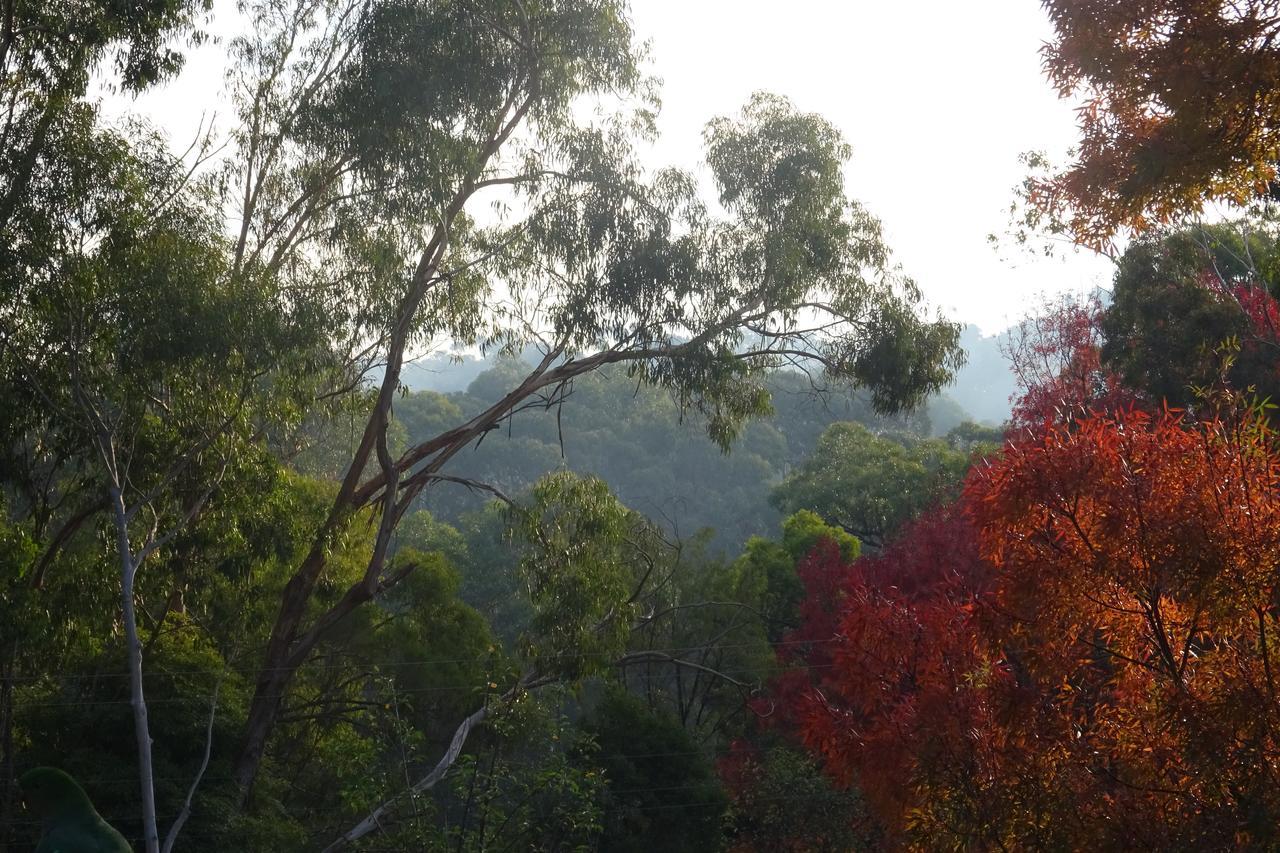 Yarra Ranges Country Apartment Mount Evelyn Luaran gambar