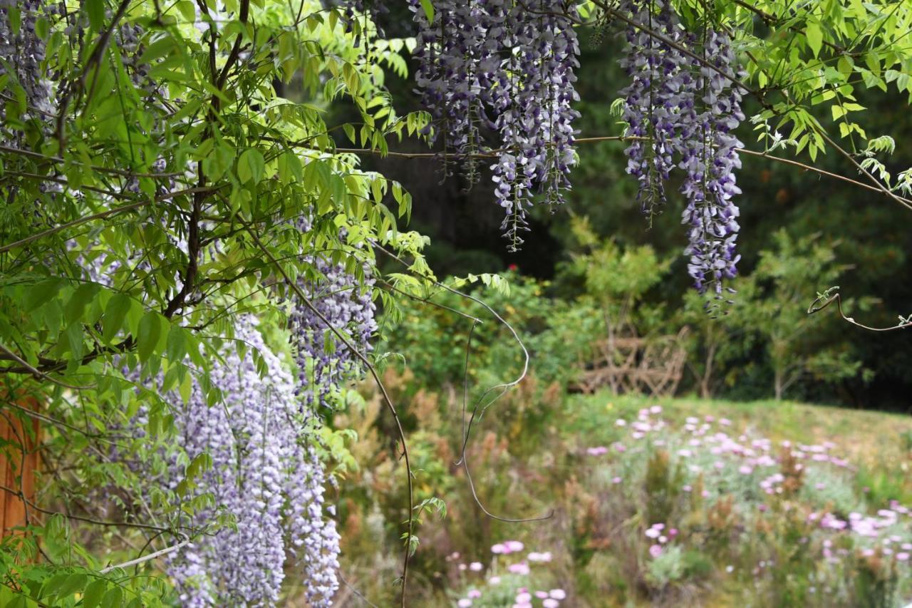 Yarra Ranges Country Apartment Mount Evelyn Luaran gambar