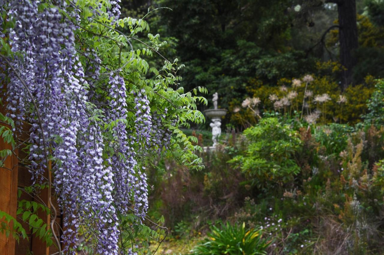 Yarra Ranges Country Apartment Mount Evelyn Luaran gambar