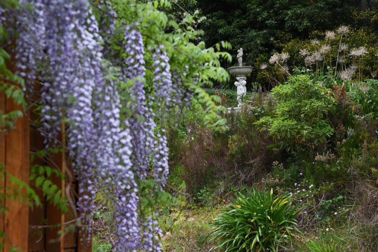 Yarra Ranges Country Apartment Mount Evelyn Luaran gambar